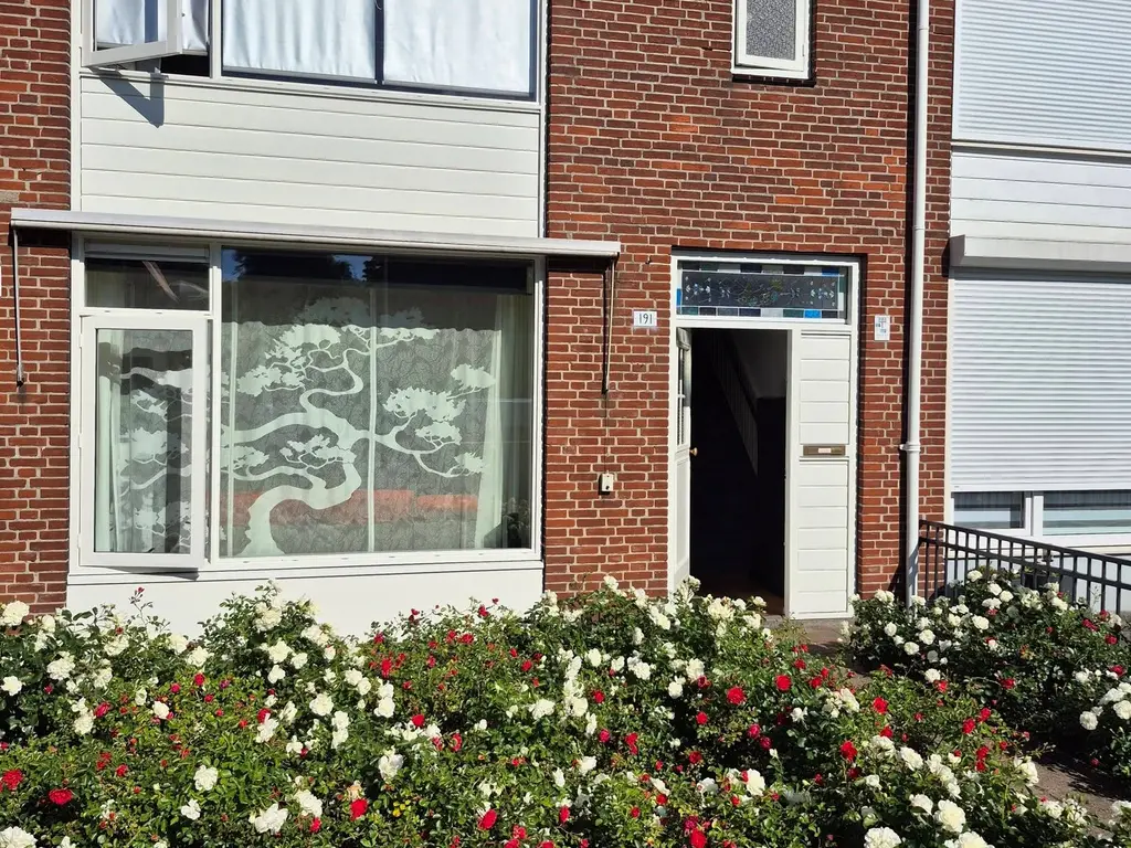 Bellinistraat 191, Tilburg