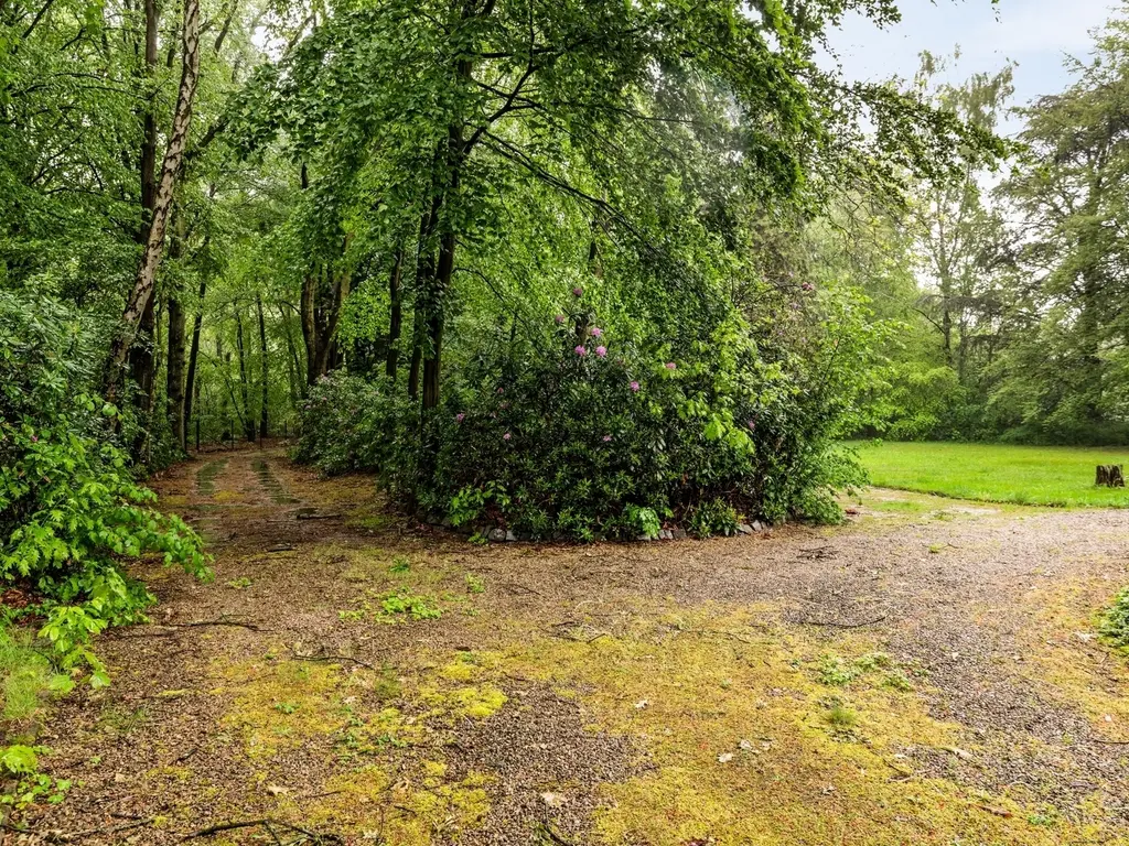 Max Hermanlei 45  , Brasschaat