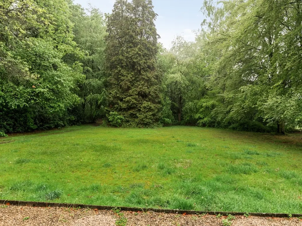 Max Hermanlei 45  , Brasschaat