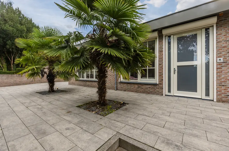 Groenewoudstraat 29