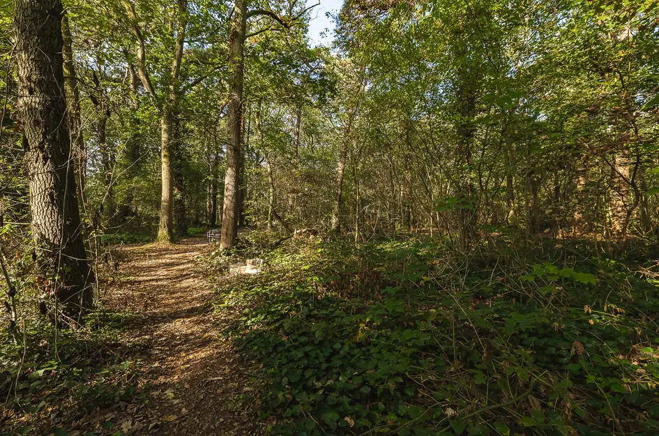 Seterseweg 4H9