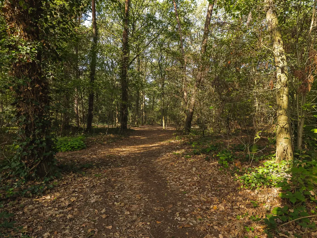Seterseweg 4H9, Oosterhout