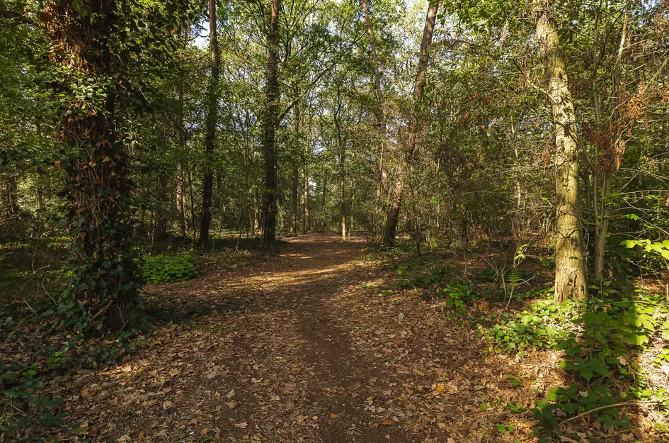 Seterseweg 4H9
