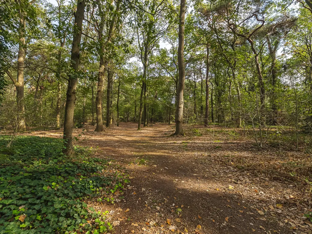 Seterseweg 4H9, Oosterhout