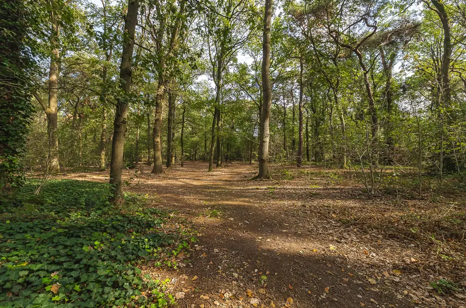 Seterseweg 4H9