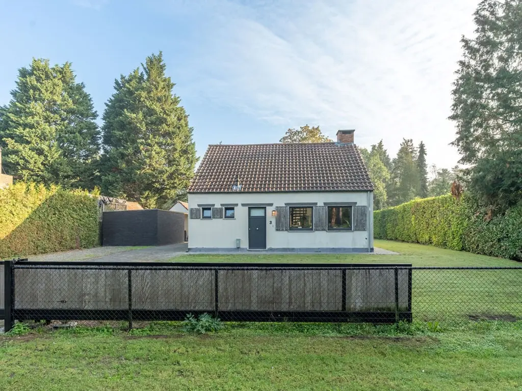 Klein-Goorbleek 3  , Poppel