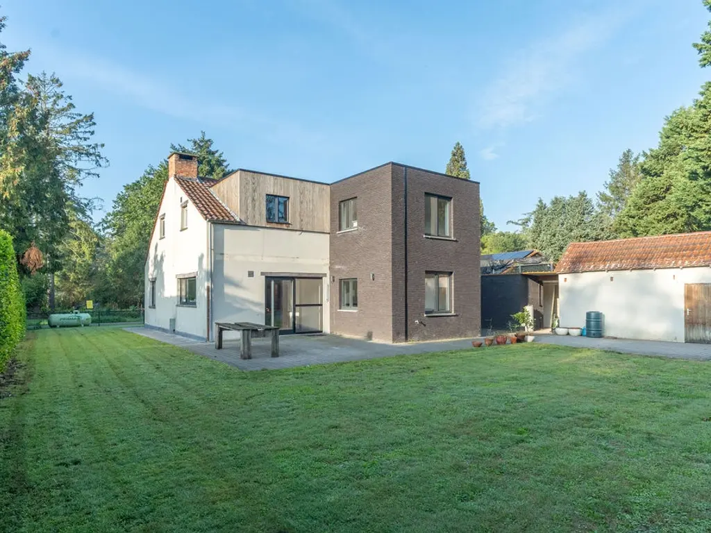 Klein-Goorbleek 3  , Poppel
