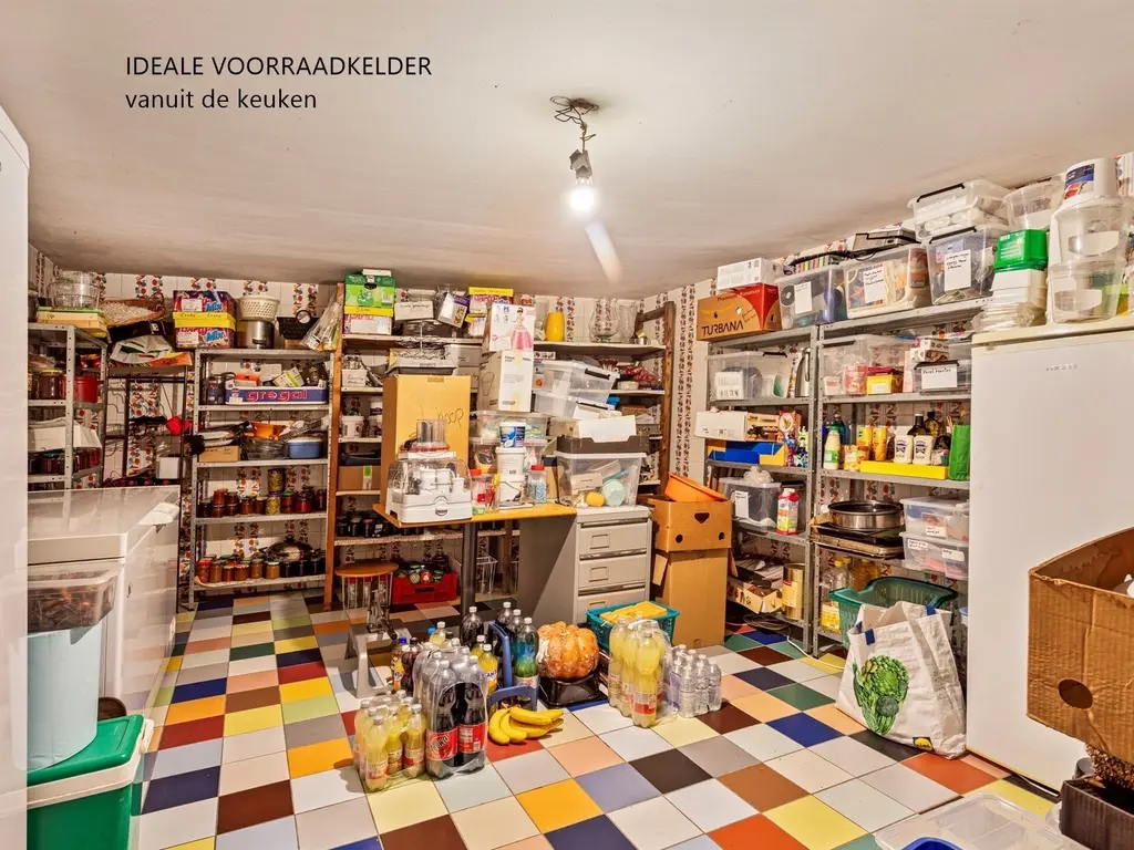 Hondseind 12-D  , Poppel