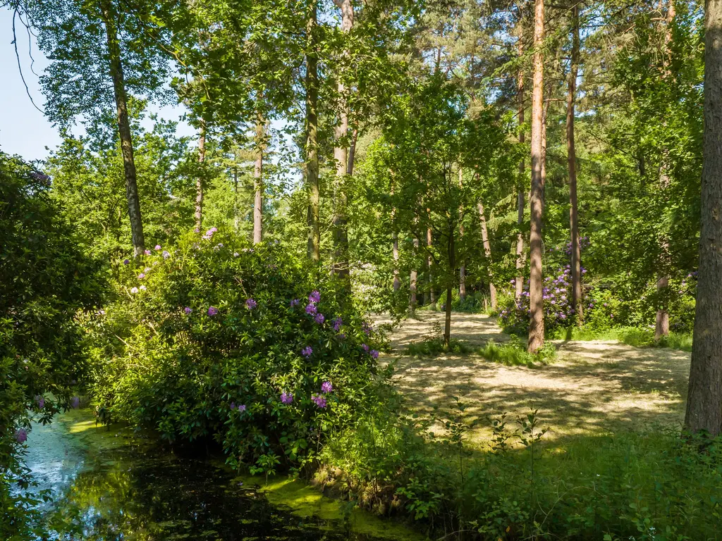 Acaciadreef 9  , Schoten