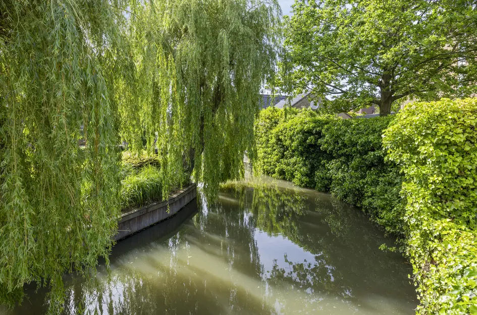 Endeldijk 36