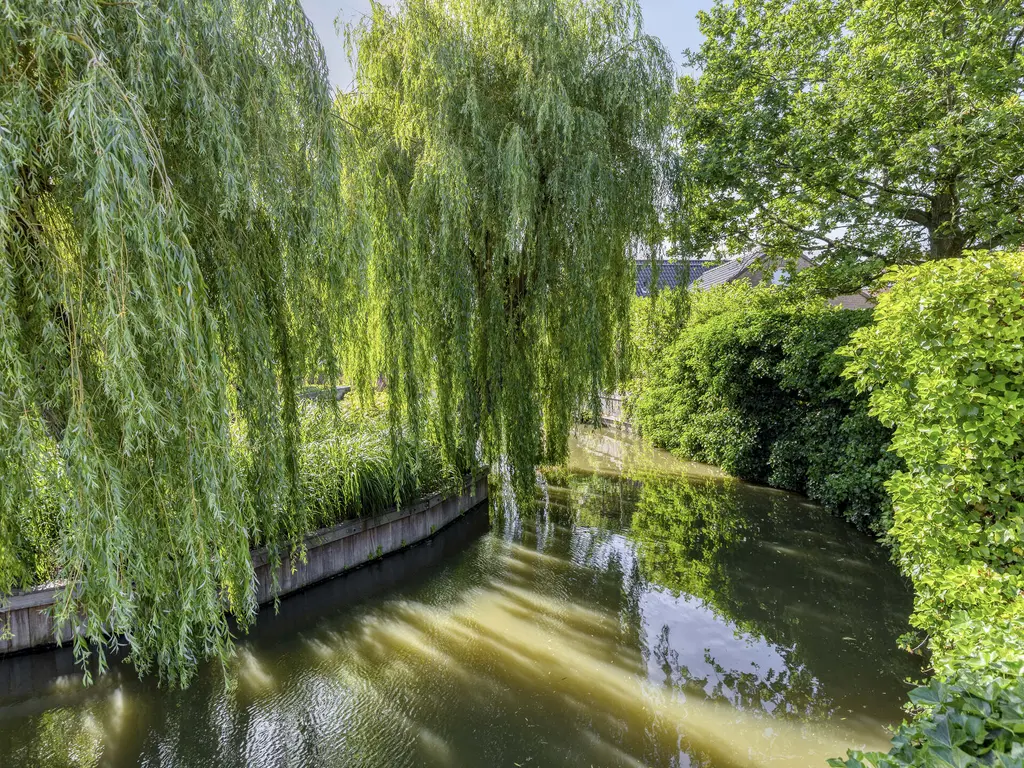 Endeldijk 34, HONSELERSDIJK
