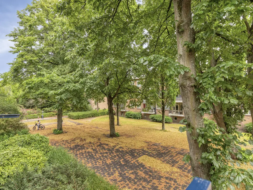 Frans Halskade 213, RIJSWIJK
