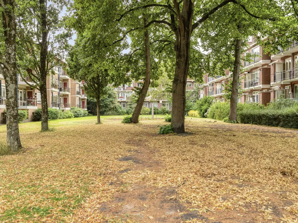 Frans Halskade 213, RIJSWIJK