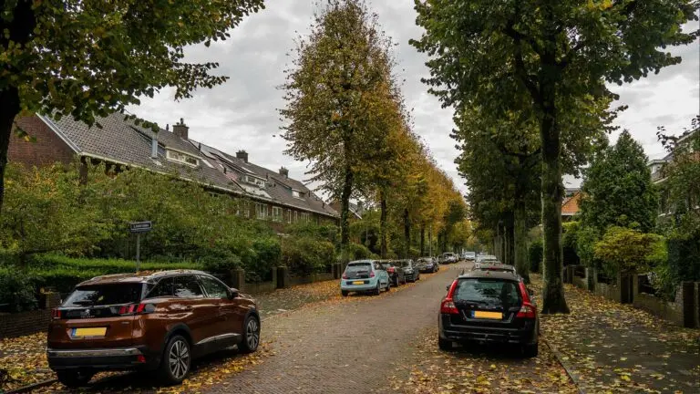Damsigt en omgeving