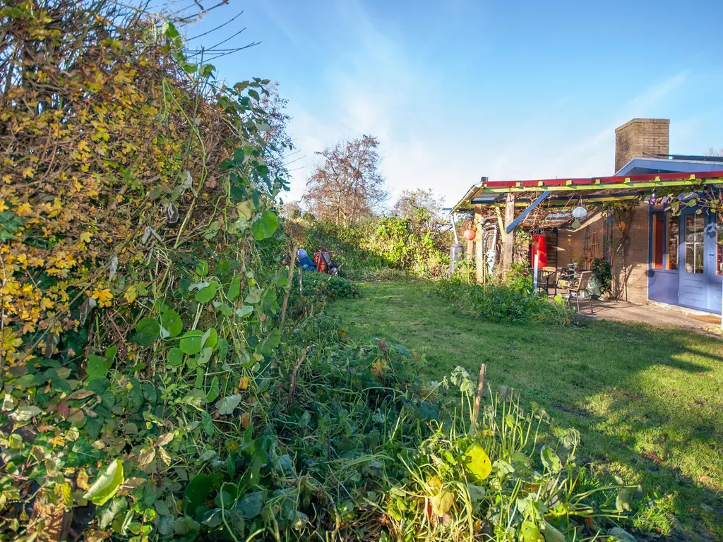 Proefpolder 369, ANDIJK