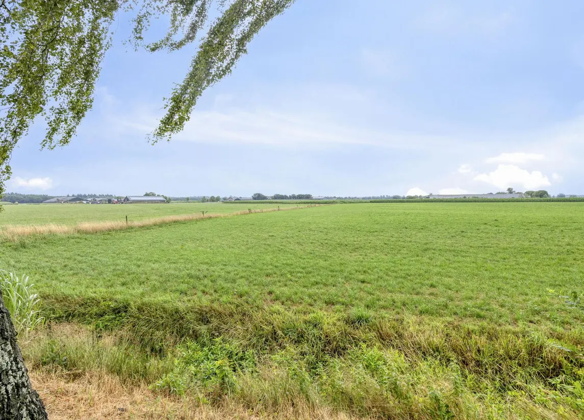 De Stille Wille 316