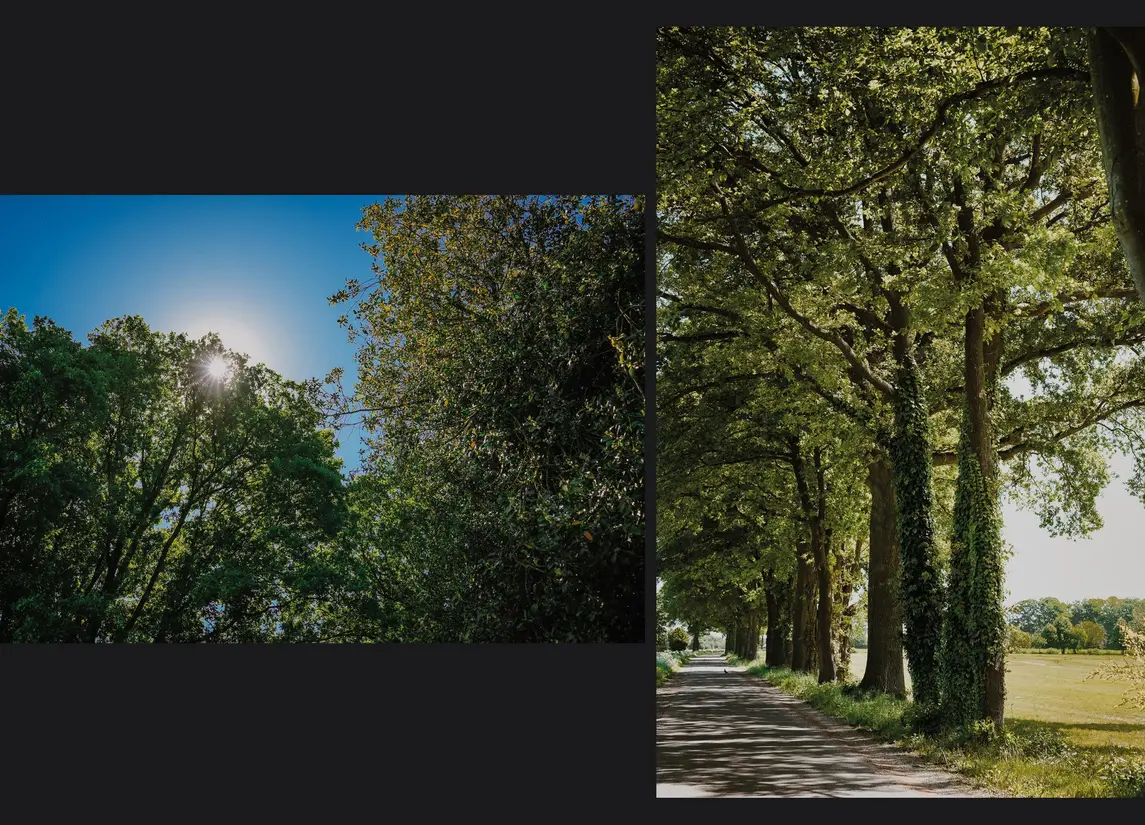 Dortherweg 39