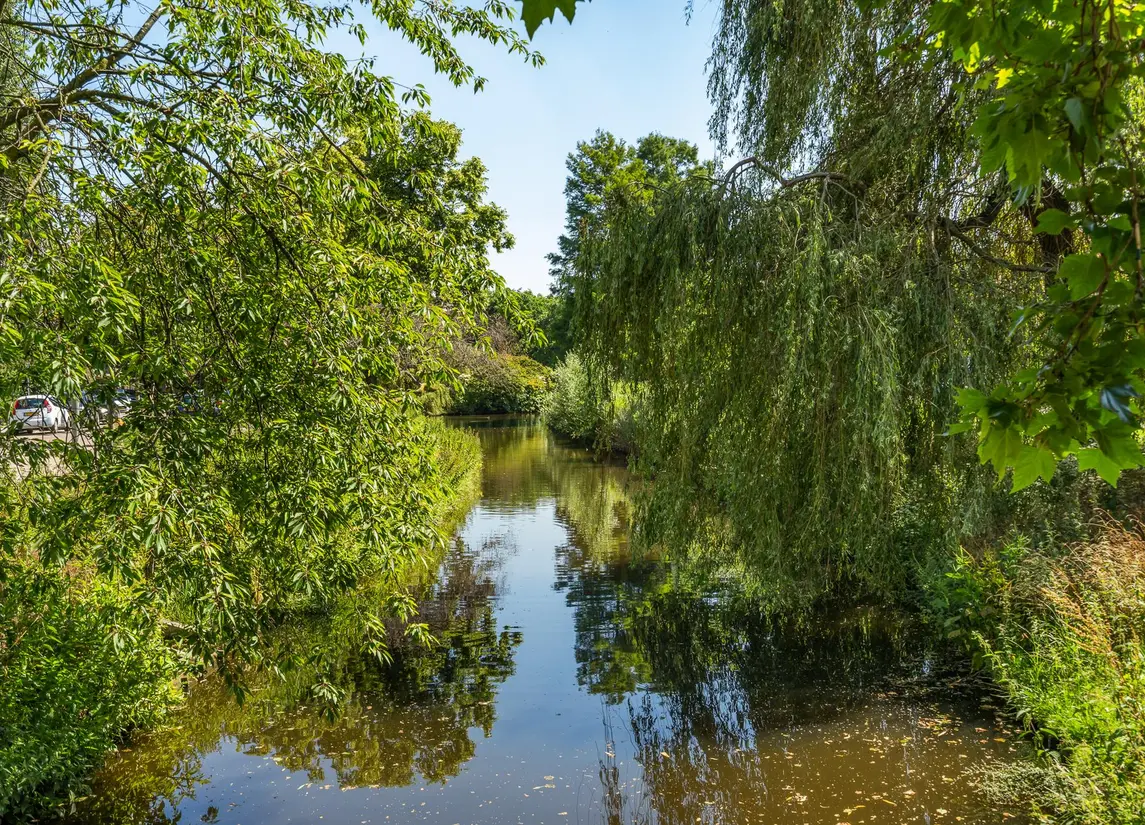 Swammerdamsingel 79