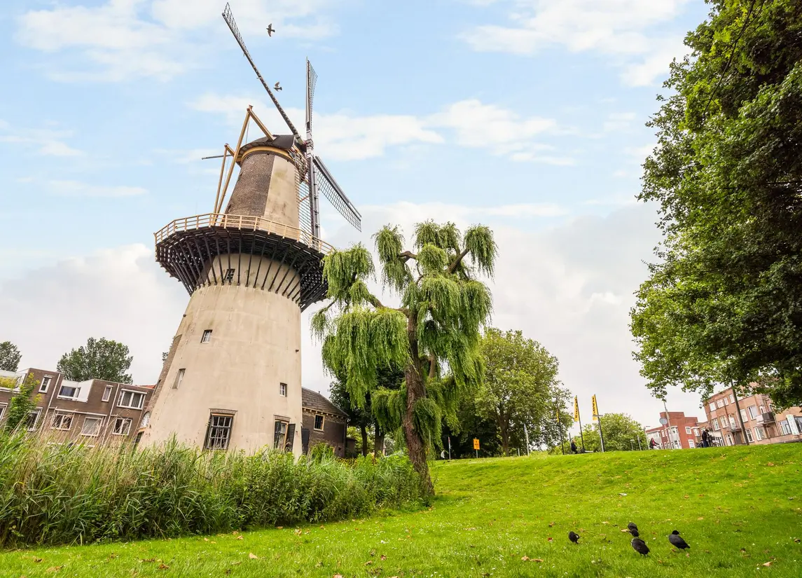 Swammerdamsingel 79