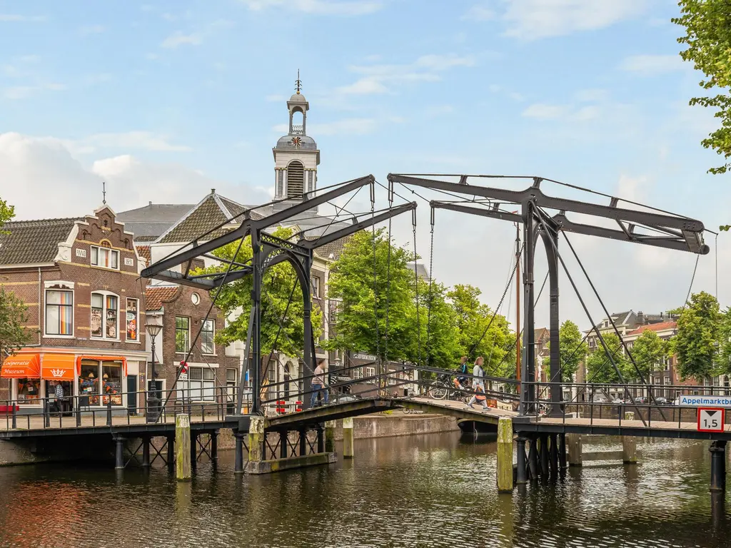 Swammerdamsingel 79, SCHIEDAM