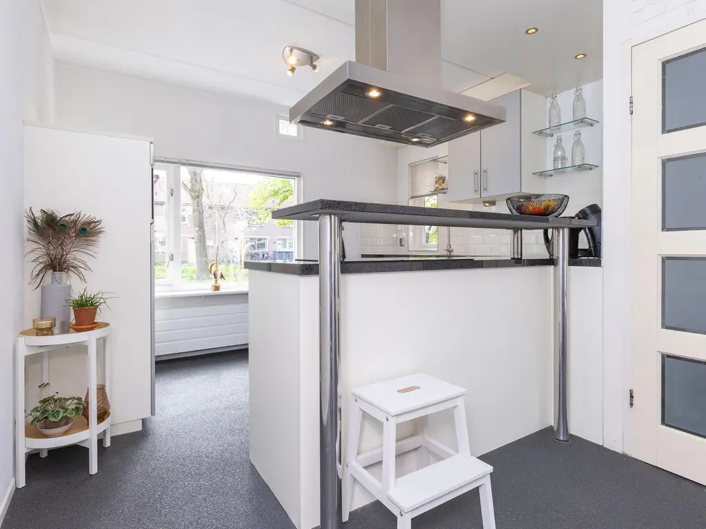 Oliemolen 46, HOORN