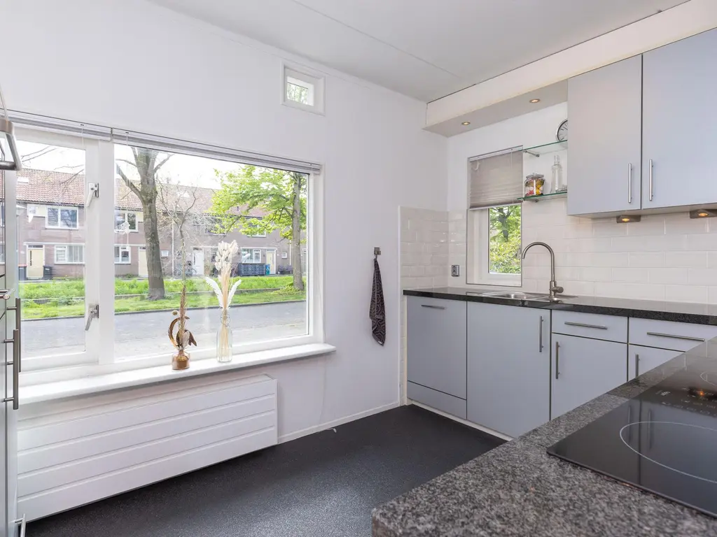 Oliemolen 46, HOORN