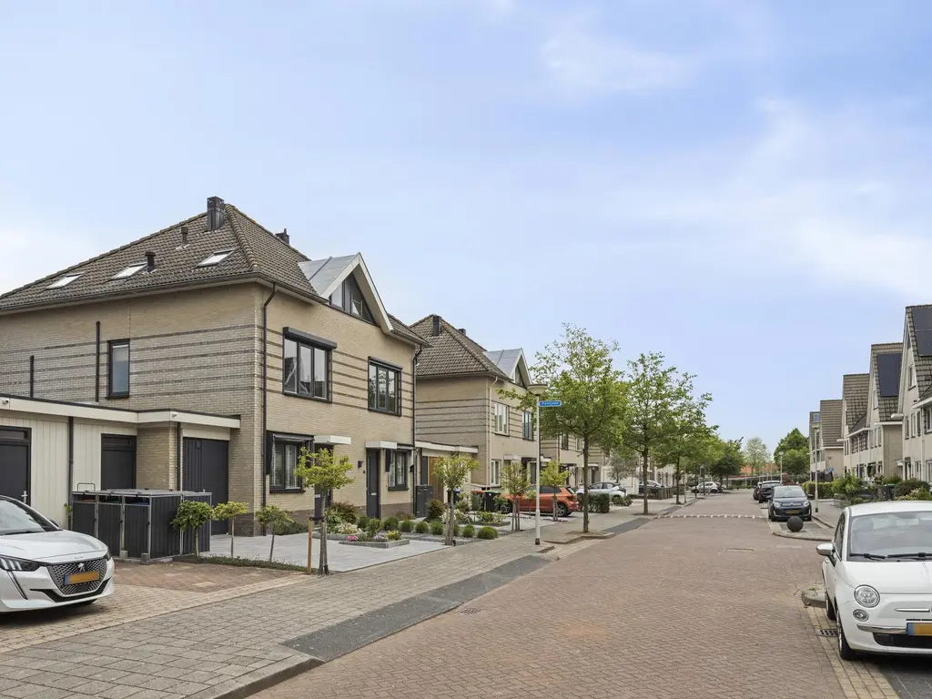 Bezeel 47, RHOON