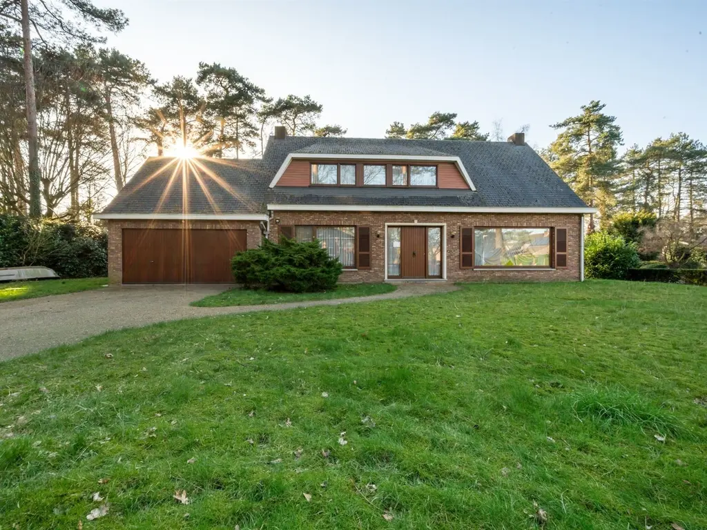 Boskant 39  , Kasterlee