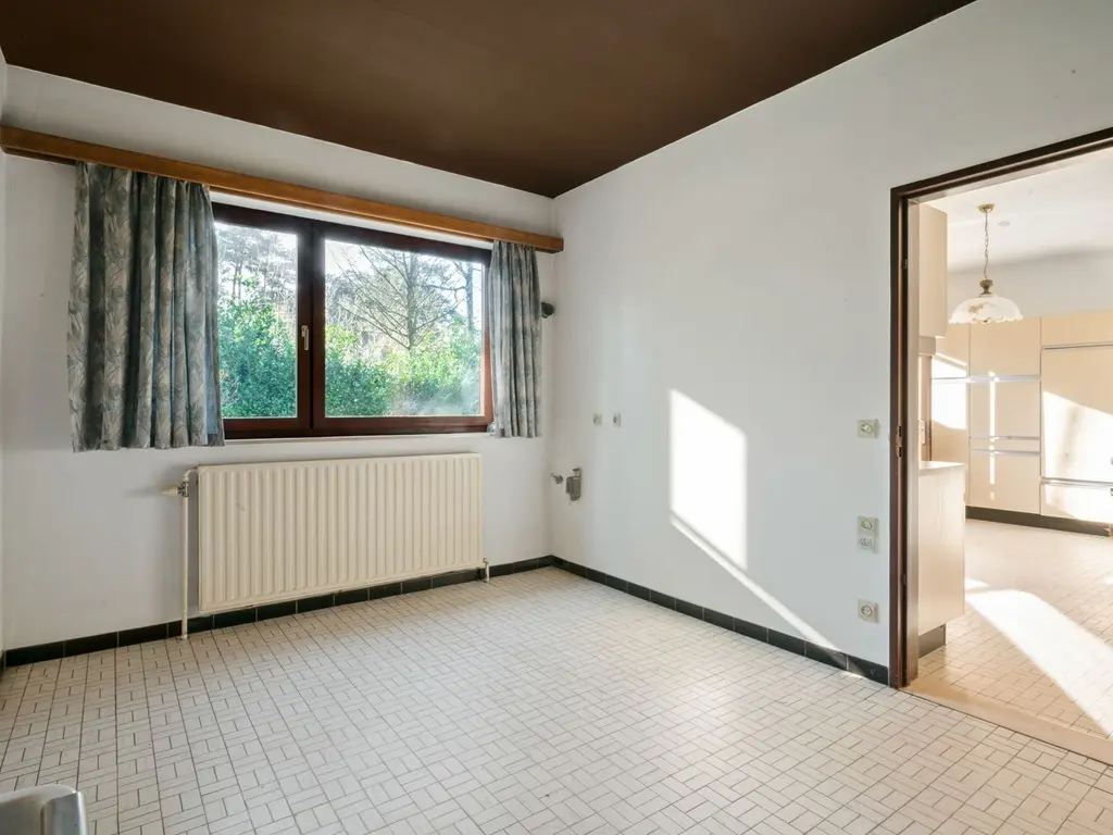 Boskant 39  , Kasterlee