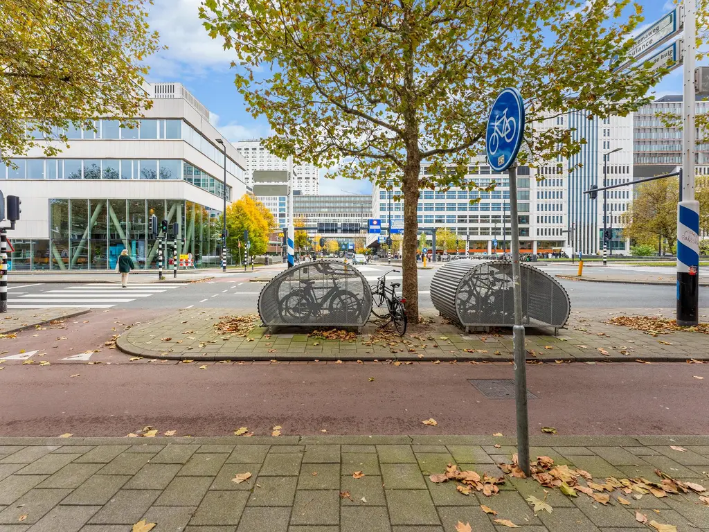 Rochussenstraat 105C, ROTTERDAM