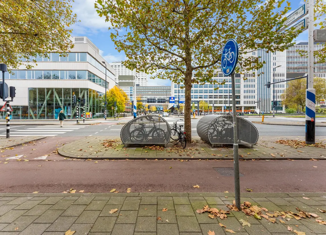 Rochussenstraat 105C