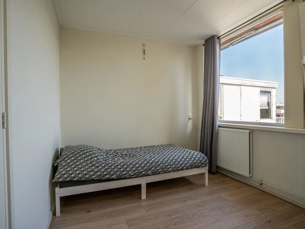 Lage Rijndijk 44, Leiden