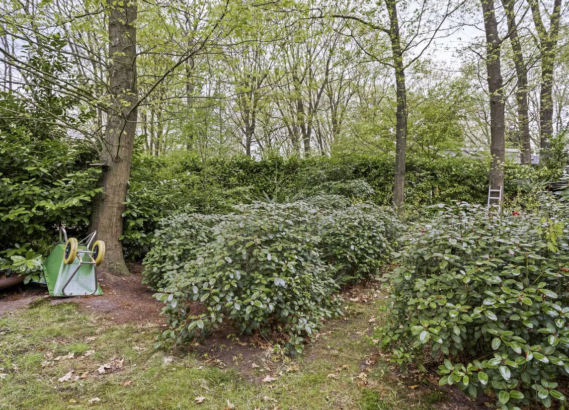 De Stille Wille 26