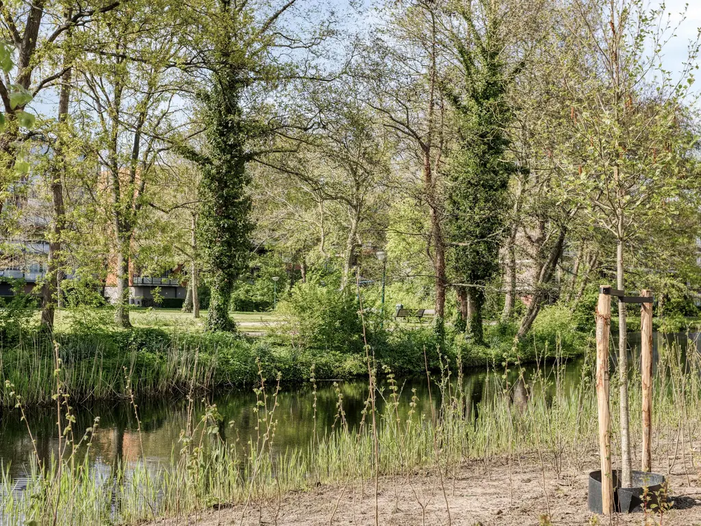 Frans Halslaan 243, Oegstgeest
