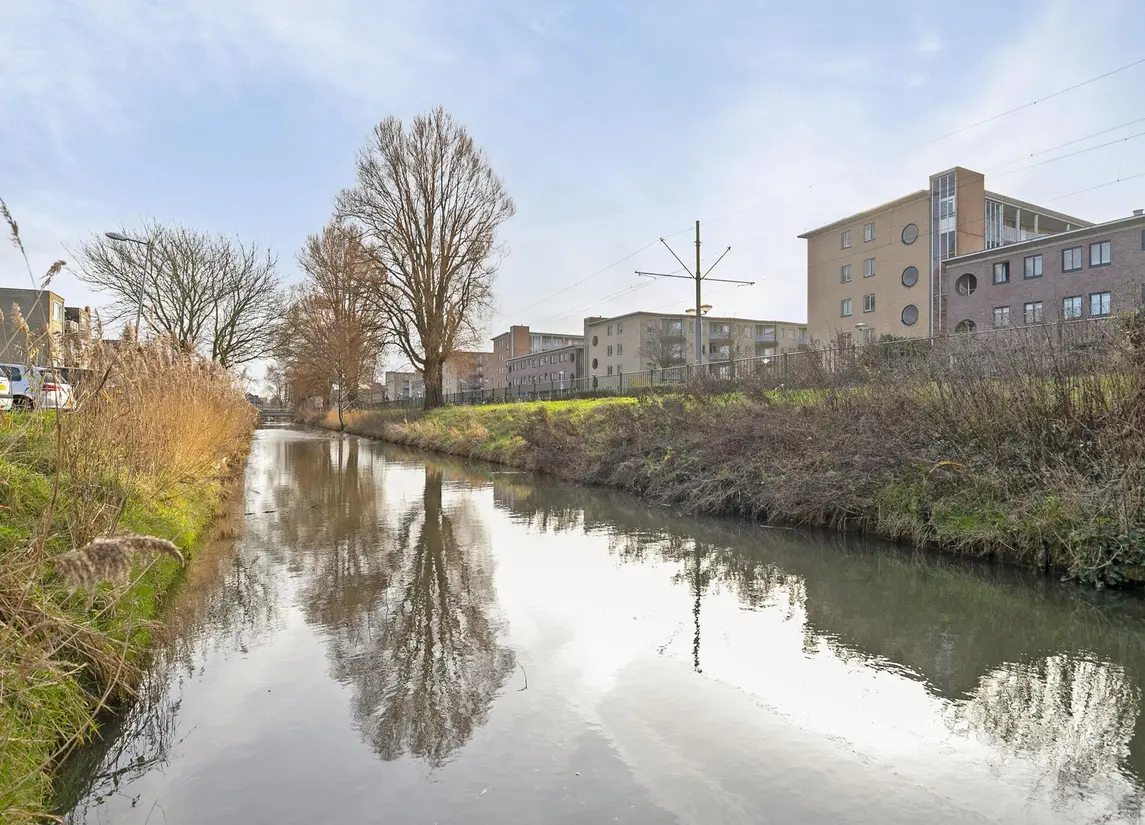 Sandinostraat 51