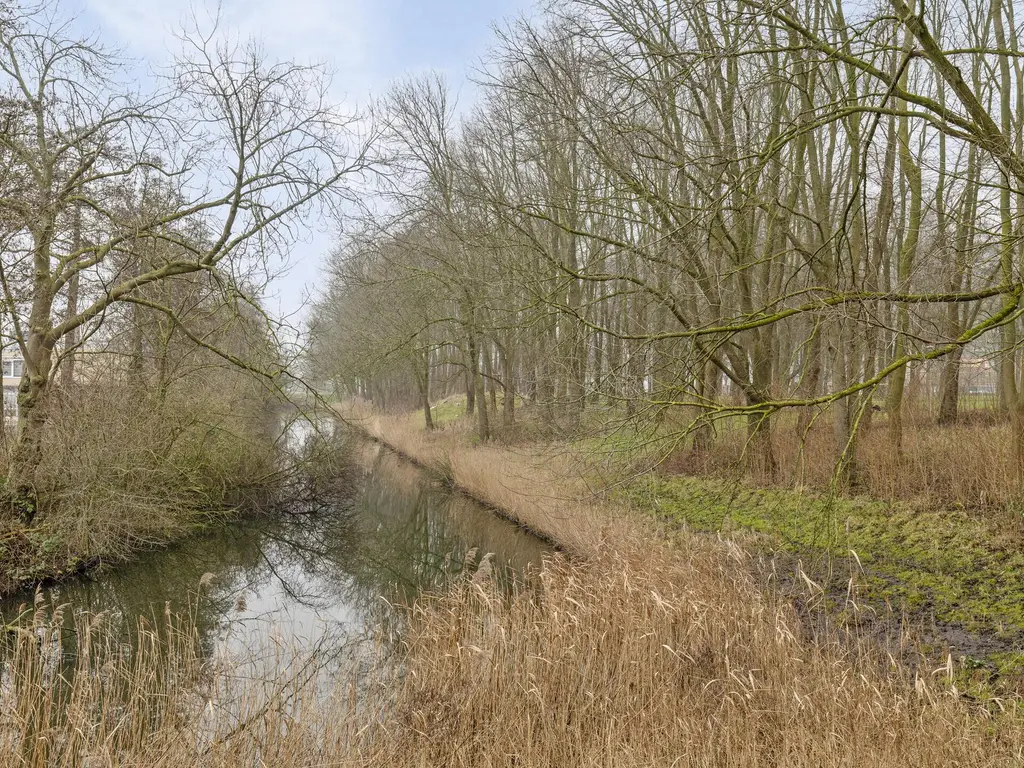 Langswater 854, AMSTERDAM