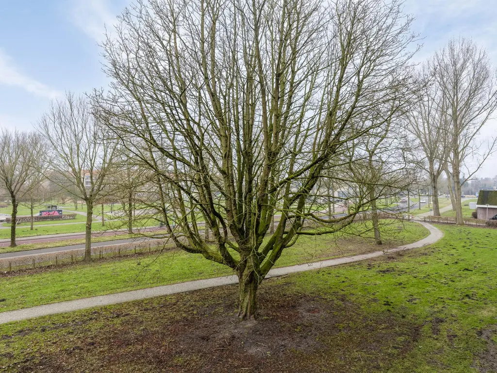 Kervelstraat 146, KROMMENIE