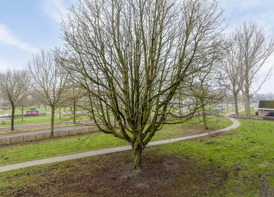 Kervelstraat 146