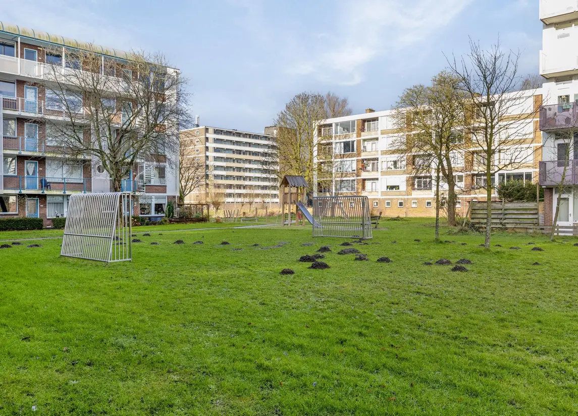 Leverkruidweg 46