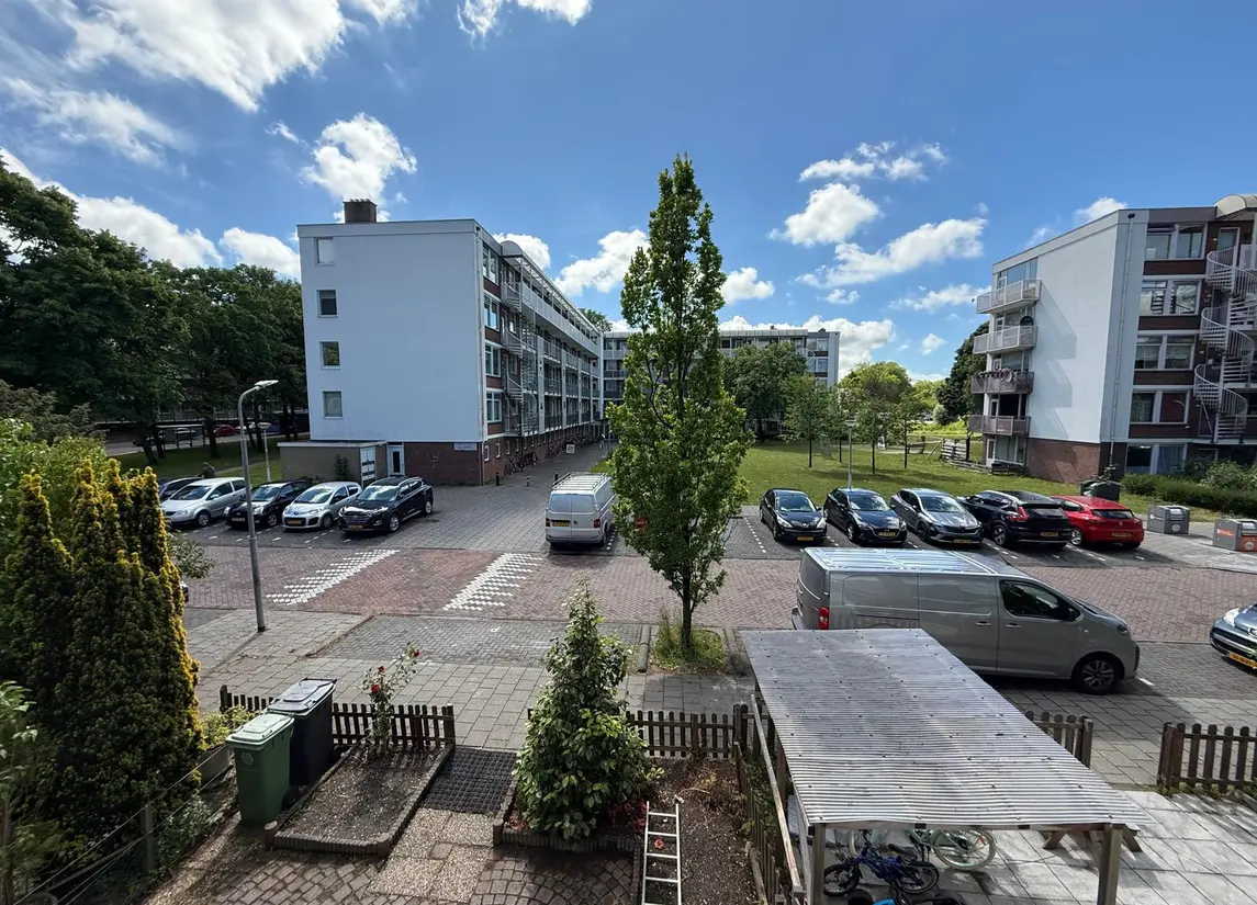 Leverkruidweg 46