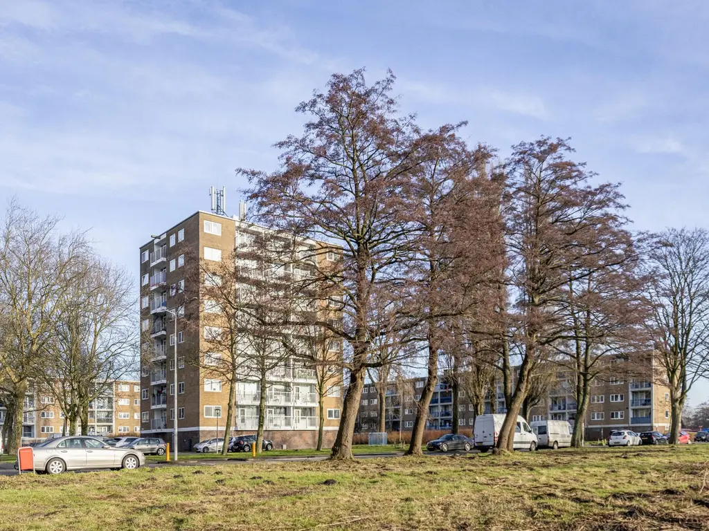Linnaeusstraat 190, ZAANDAM