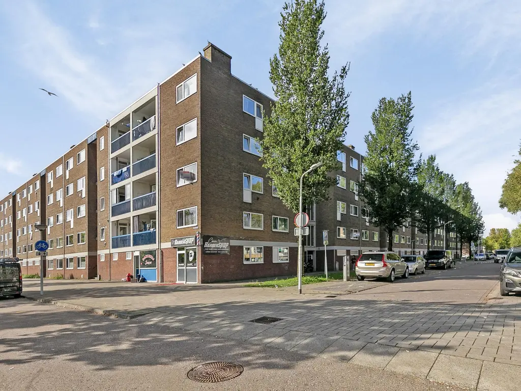 Linnaeusstraat 176, ZAANDAM