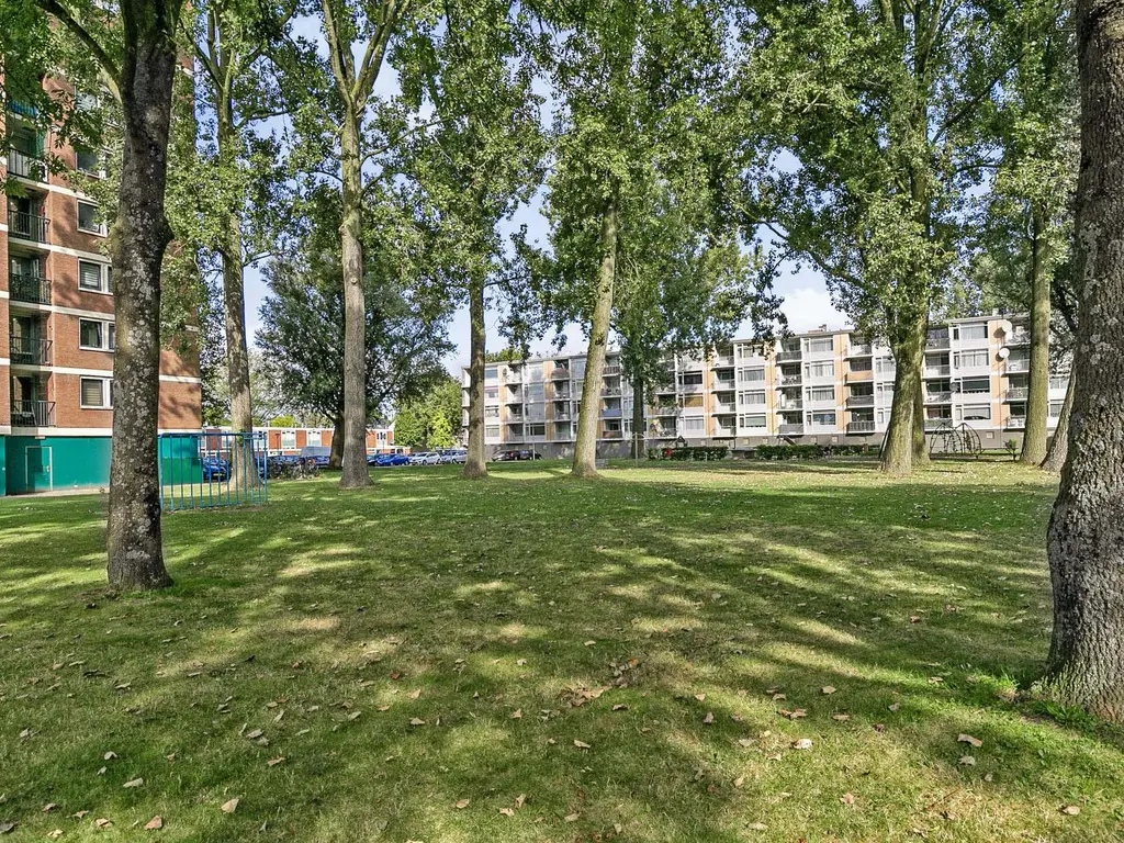 Linnaeusstraat 176, ZAANDAM