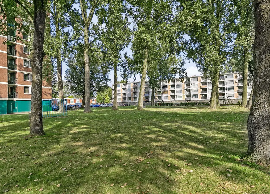 Linnaeusstraat 176