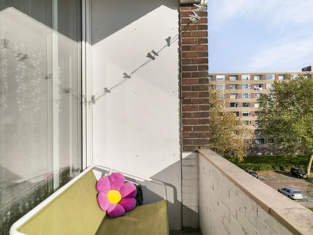 Fluitekruidweg 178, ZAANDAM