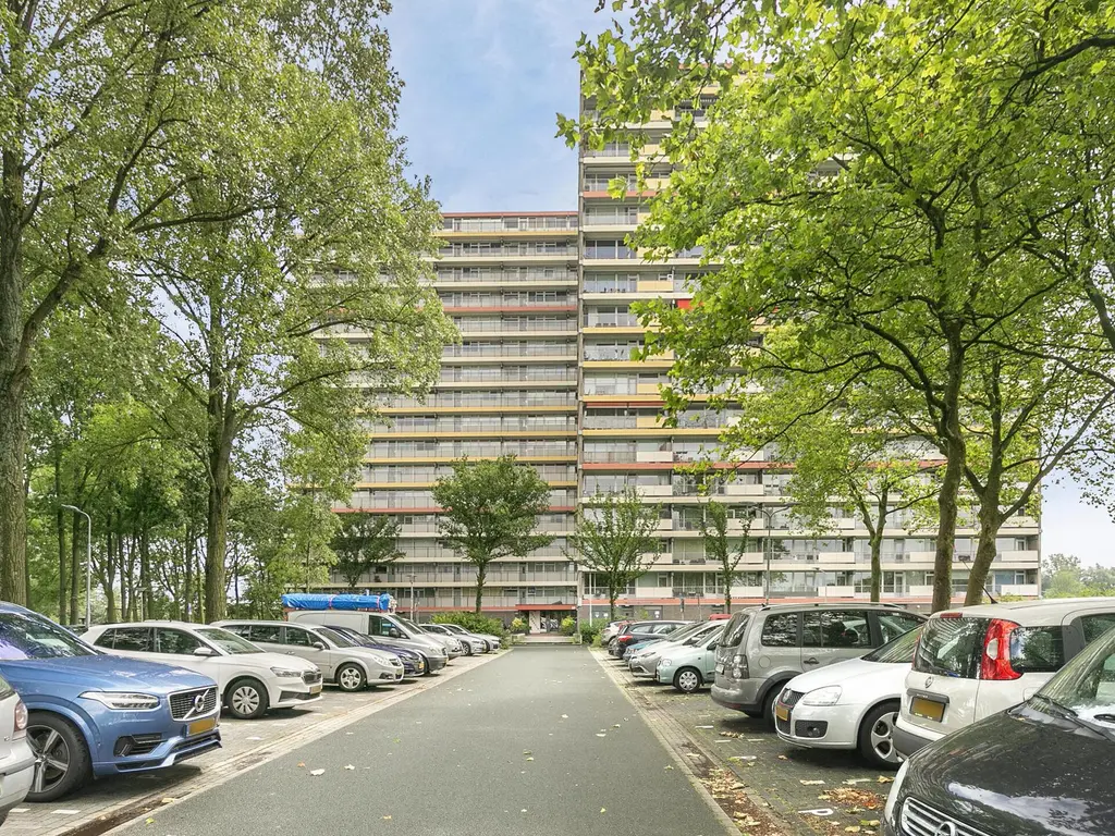 Oost-Dorsch 36, ZAANDAM