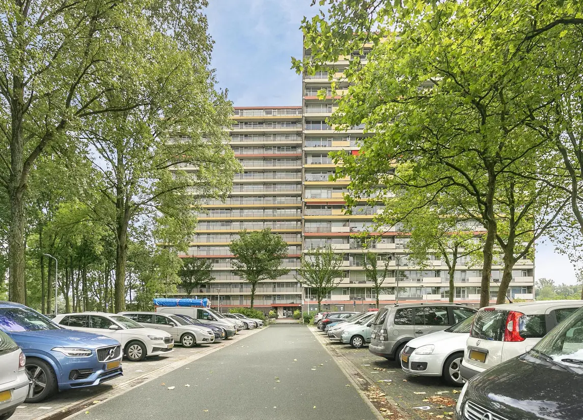 Oost-Dorsch 36
