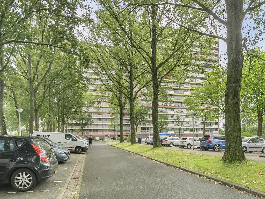 Oost-Dorsch 36, ZAANDAM
