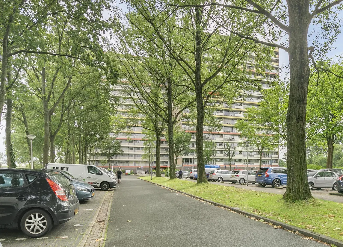 Oost-Dorsch 36