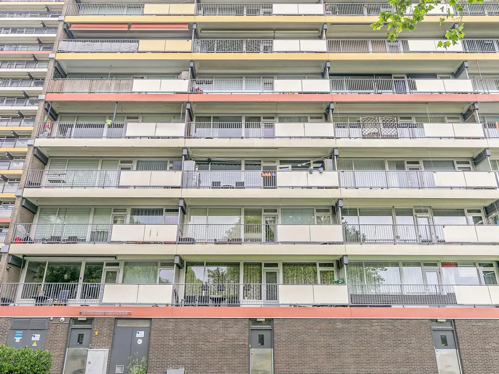 Oost-Dorsch 36, ZAANDAM